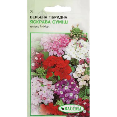 Вербена Яскрава, суміш забарвлень Seedera зображення 1 артикул 72096