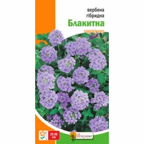 Вербена голубая Яскрава рисунок 1 артикул 72958