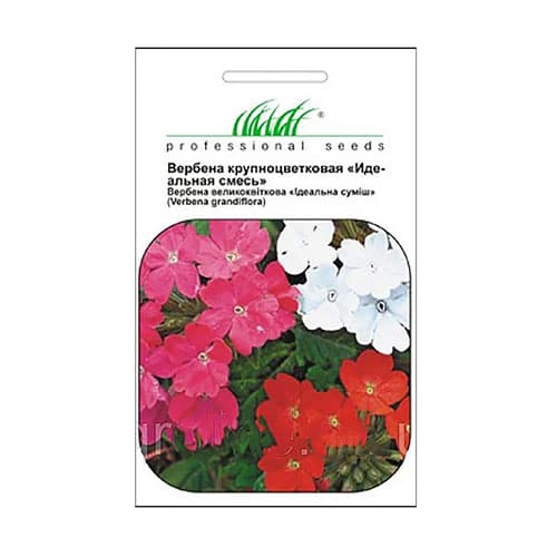 Вербена Идеальная, смесь окрасок Профессиональные семена рисунок 1 артикул 72097