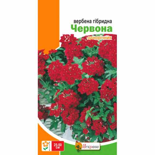 Вербена червона Яскрава зображення 1 артикул 72962