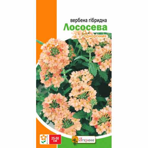 Вербена лососевая Яскрава рисунок 1 артикул 72959