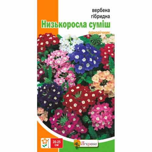 Вербена низькоросла, суміш забарвлень Яскрава зображення 1 артикул 72960
