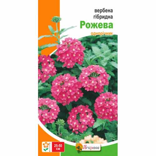 Вербена рожева Яскрава зображення 1 артикул 72961