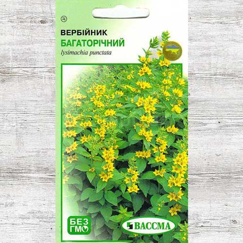 Вербійник багаторічний зображення 1 артикул 89921