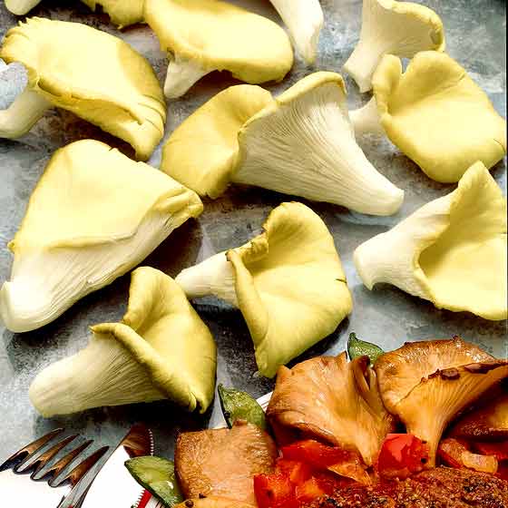 Глива золота зображення 2 артикул 9728