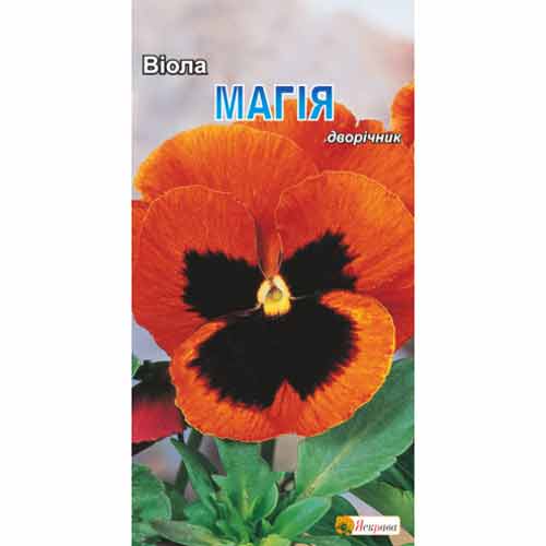Віола Магія Яскрава зображення 1 артикул 90435