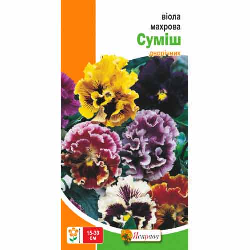 Вiола махрова, суміш забарвлень Яскрава зображення 1 артикул 72112