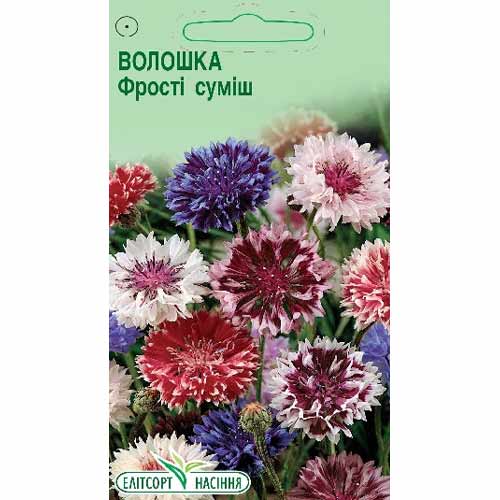 Волошка Фрості, суміш забарвлень Елітсорт артикул фото 1 Волошка Фрості, суміш забарвлень Елітсорт зображення 1 артикул 85937