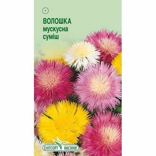 Василек мускусный, смесь окрасок Элитсорт рисунок 1 артикул 85936
