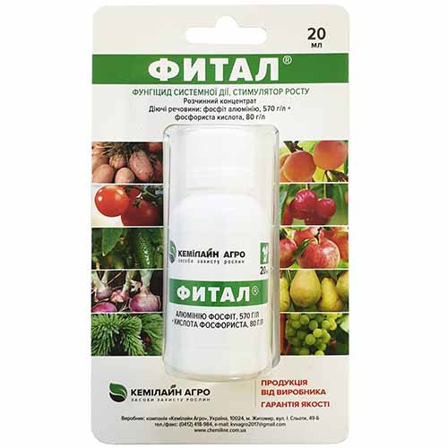 Засіб для захисту від хвороб Фітал зображення 1 артикул 95930