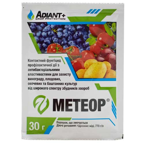 Засіб захисту від хвороб Метеор артикул фото 1 Засіб захисту від хвороб Метеор зображення 1 артикул 91480