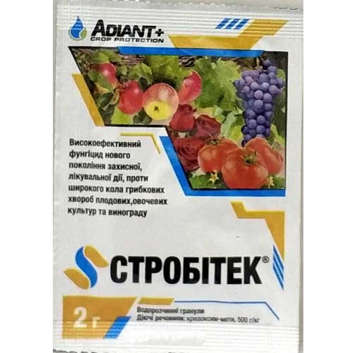 Засіб захисту від хвороб Стробітек зображення 1 артикул 91481