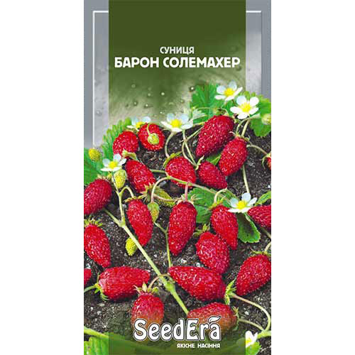 Суниця ремонтантна Барон Солемахер Seedera артикул фото 1 Суниця ремонтантна Барон Солемахер Seedera зображення 1 артикул 90205