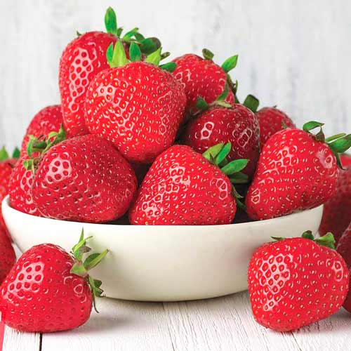 Полуниця Арома артикул фото 1 Полуниця Арома зображення 1 артикул 9802