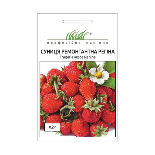 Земляника ремонтантная Регина Профессиональные семена артикул фото 1 Земляника ремонтантная Регина Профессиональные семена рисунок 1 артикул 65512