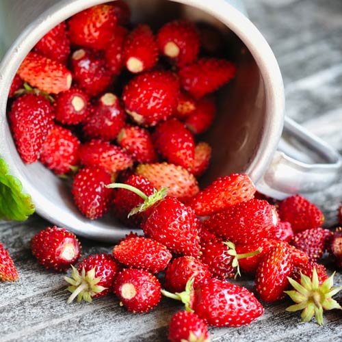 Суниця Руяна зображення 1 артикул 65668