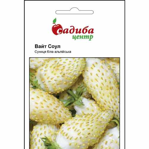 Земляника ремонтантная Вайт Соул Садыба центр рисунок 1 артикул 89697