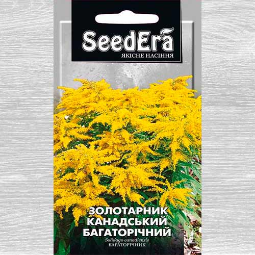 Золотарник канадський зображення 1 артикул 77007
