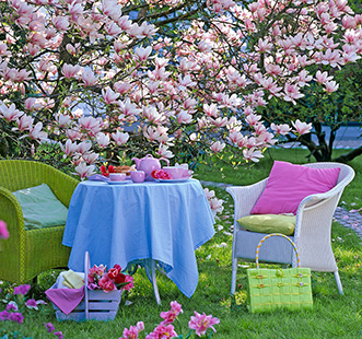 Декоративні дерева