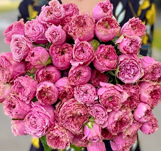 Троянди півонієподібні