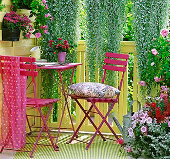 В’юнкі рослини