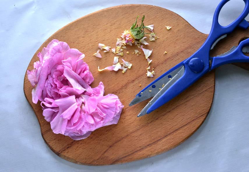 Варенье из лепестков роз: лучшие рецепты и советы