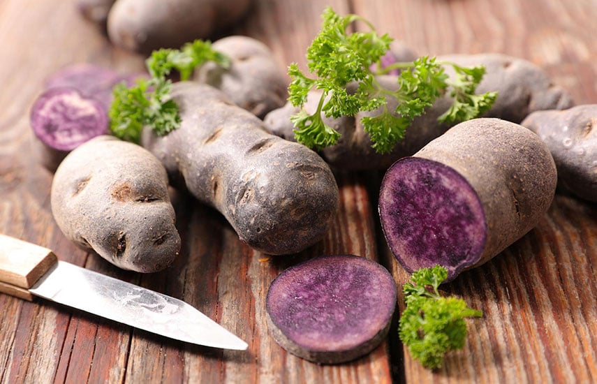 фиолетовая картошка выращивание и польза