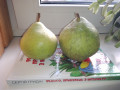 upload_img1