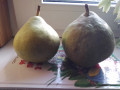 upload_img1