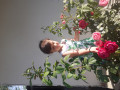 upload_img1
