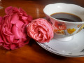 upload_img1