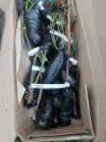 upload_img1