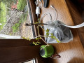 upload_img1