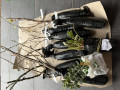 upload_img1