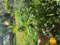 upload_img1