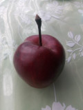 upload_img1