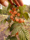 upload_img1