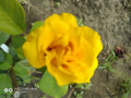 upload_img1