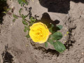 upload_img1