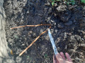 upload_img1