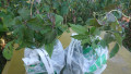 upload_img1