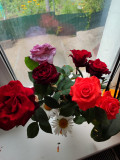 upload_img1