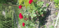 upload_img1