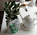 upload_img1