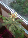 upload_img1