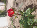 upload_img1