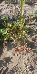 upload_img1