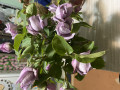 upload_img1