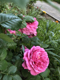 upload_img1