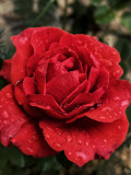 upload_img1